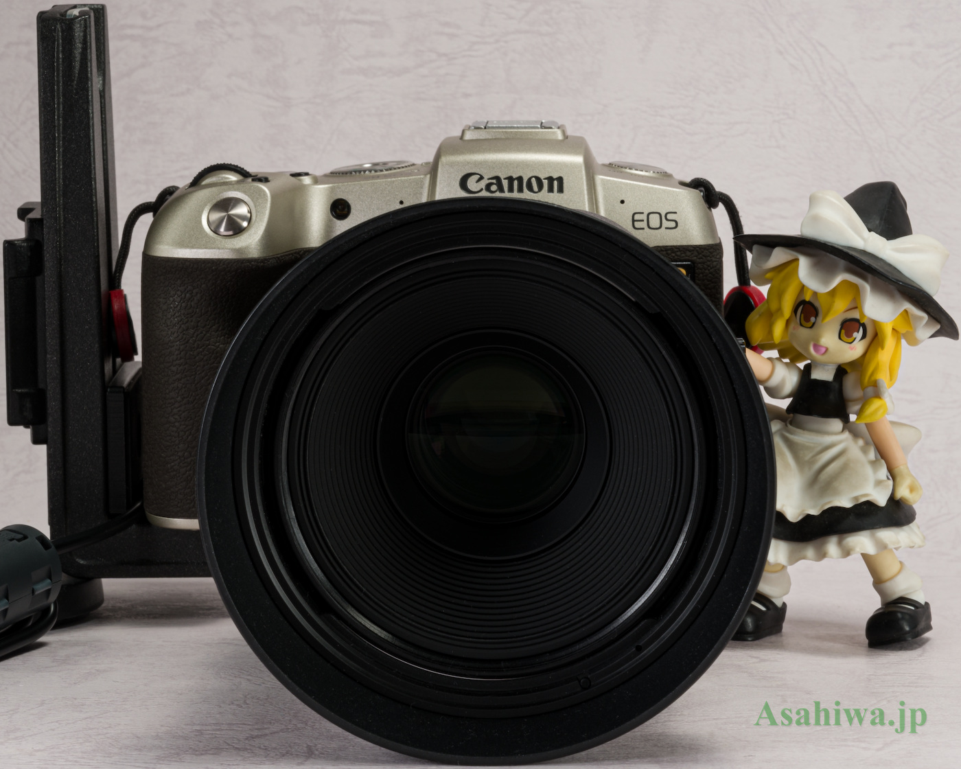 Canon EOS RP ＋ コントロールリングマウントアダプター EF-EOS R ほか カメラ・レンズレビュー アクセサリーレビュー 機材