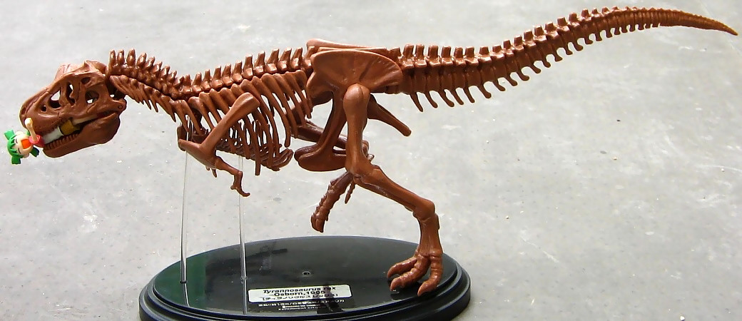 学研ティラノサウルス骨格モデル科学のタマゴ08 玩具 ホビーレビュー 