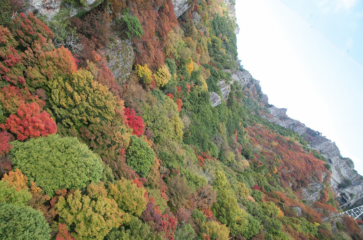 紅葉of寒霞渓wa日本三大渓谷美っぽい 風物 おでかけフォト